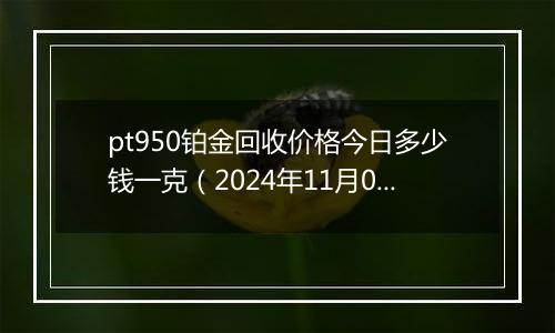 pt950铂金回收价格今日多少钱一克（2024年11月01日）