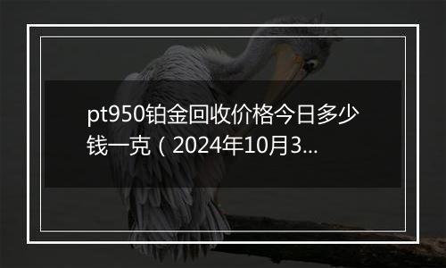 pt950铂金回收价格今日多少钱一克（2024年10月31日）