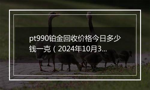 pt990铂金回收价格今日多少钱一克（2024年10月30日）