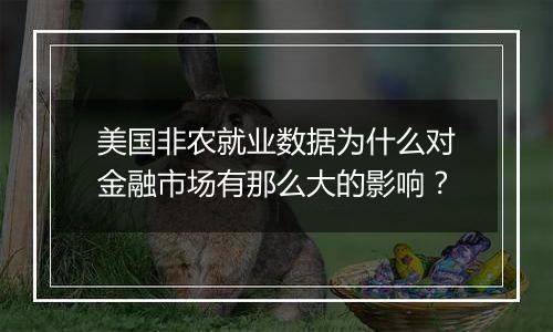 美国非农就业数据为什么对金融市场有那么大的影响？