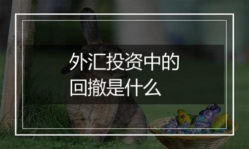 外汇投资中的回撤是什么