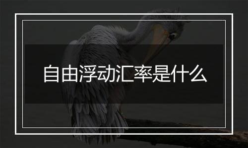 自由浮动汇率是什么