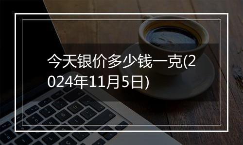 今天银价多少钱一克(2024年11月5日)