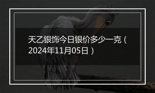 天乙银饰今日银价多少一克（2024年11月05日）