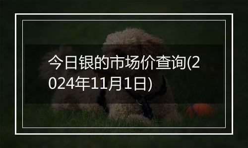 今日银的市场价查询(2024年11月1日)