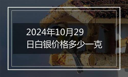 2024年10月29日白银价格多少一克