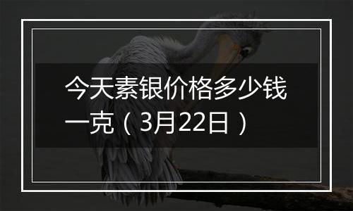 今天素银价格多少钱一克（3月22日）