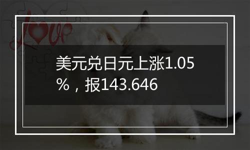 美元兑日元上涨1.05%，报143.646