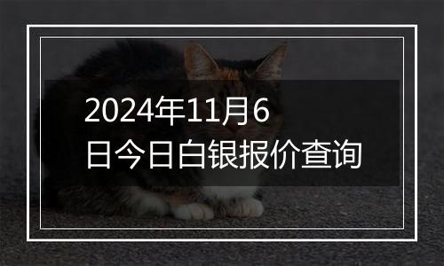 2024年11月6日今日白银报价查询