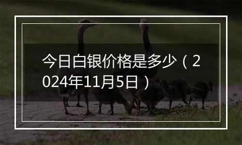 今日白银价格是多少（2024年11月5日）