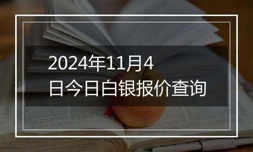 2024年11月4日今日白银报价查询