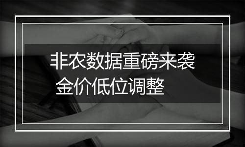 非农数据重磅来袭 金价低位调整