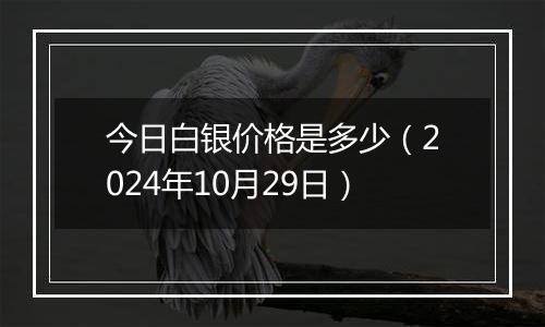 今日白银价格是多少（2024年10月29日）