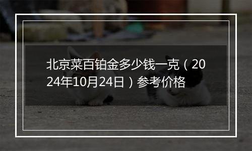 北京菜百铂金多少钱一克（2024年10月24日）参考价格