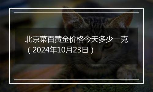 北京菜百黄金价格今天多少一克（2024年10月23日）