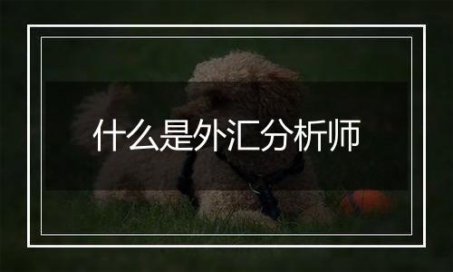 什么是外汇分析师