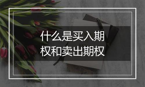 什么是买入期权和卖出期权