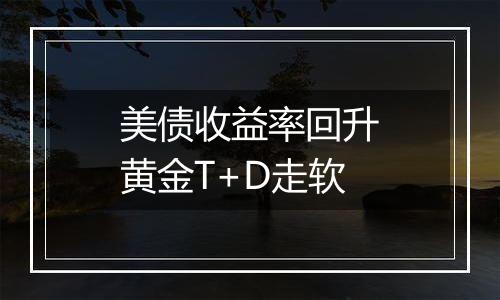 美债收益率回升黄金T+D走软