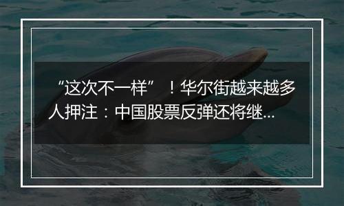 “这次不一样”！华尔街越来越多人押注：中国股票反弹还将继续