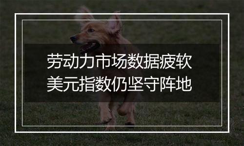 劳动力市场数据疲软 美元指数仍坚守阵地