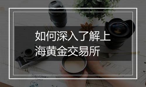 如何深入了解上海黄金交易所