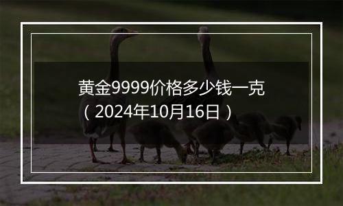 黄金9999价格多少钱一克（2024年10月16日）