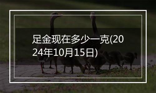 足金现在多少一克(2024年10月15日)