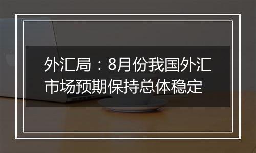 外汇局：8月份我国外汇市场预期保持总体稳定