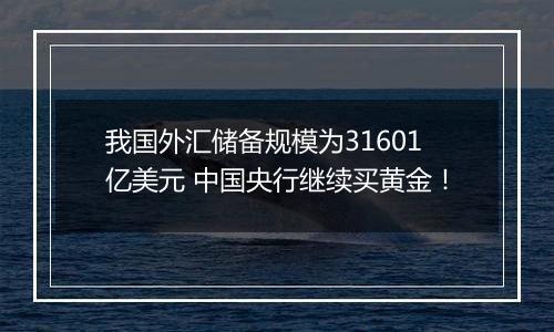 我国外汇储备规模为31601亿美元 中国央行继续买黄金！