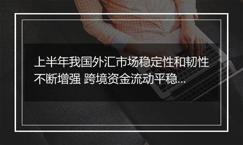 上半年我国外汇市场稳定性和韧性不断增强 跨境资金流动平稳有序