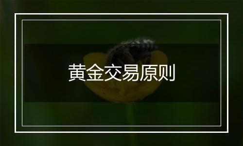 黄金交易原则