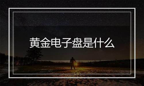 黄金电子盘是什么