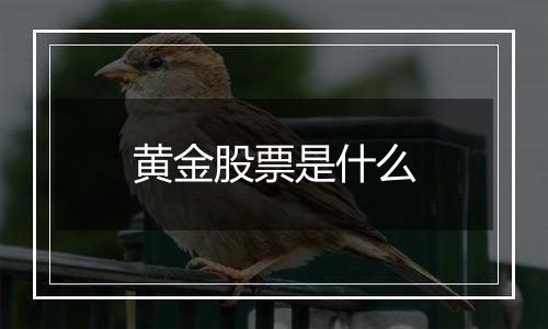 黄金股票是什么