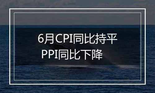 6月CPI同比持平 PPI同比下降