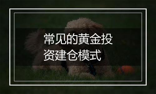 常见的黄金投资建仓模式