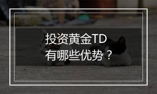 投资黄金TD有哪些优势？