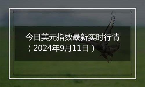 今日美元指数最新实时行情（2024年9月11日）