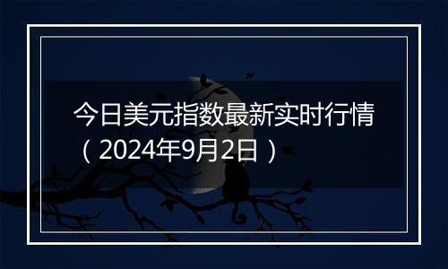 今日美元指数最新实时行情（2024年9月2日）