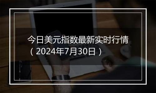 今日美元指数最新实时行情（2024年7月30日）