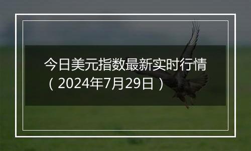 今日美元指数最新实时行情（2024年7月29日）