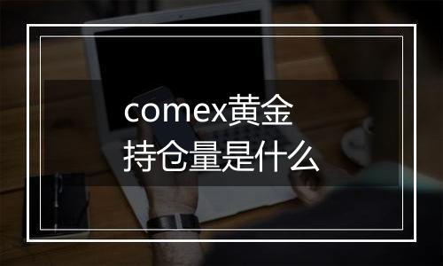 comex黄金持仓量是什么