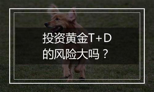 投资黄金T+D的风险大吗？