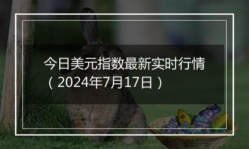 今日美元指数最新实时行情（2024年7月17日）