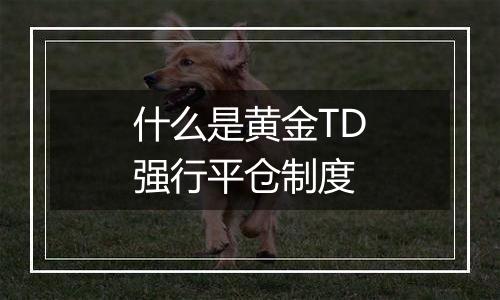 什么是黄金TD强行平仓制度