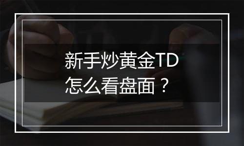 新手炒黄金TD怎么看盘面？