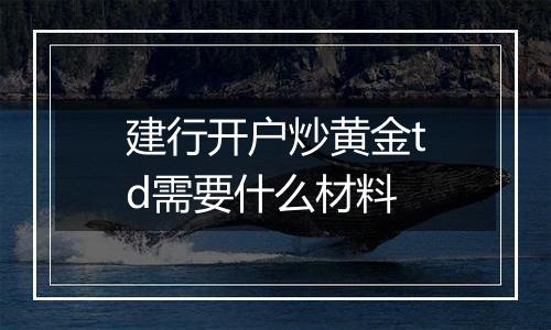 建行开户炒黄金td需要什么材料