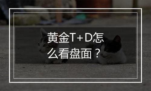 黄金T+D怎么看盘面？