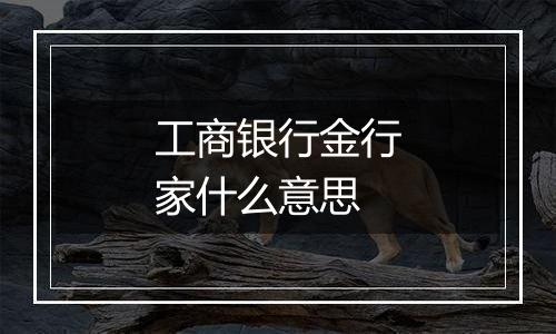 工商银行金行家什么意思