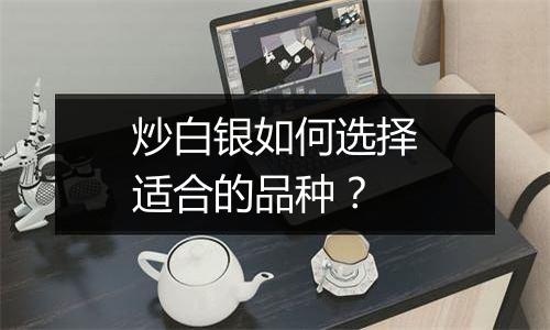 炒白银如何选择适合的品种？