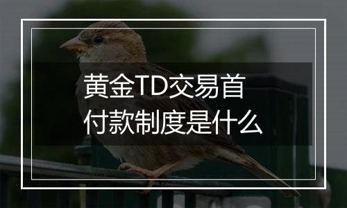 黄金TD交易首付款制度是什么